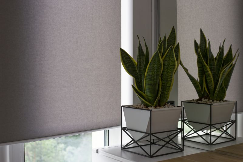 Motorized Shade Repair in Manassas, VA
