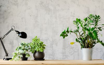 Wallpaper Replacement in Conroe, TX