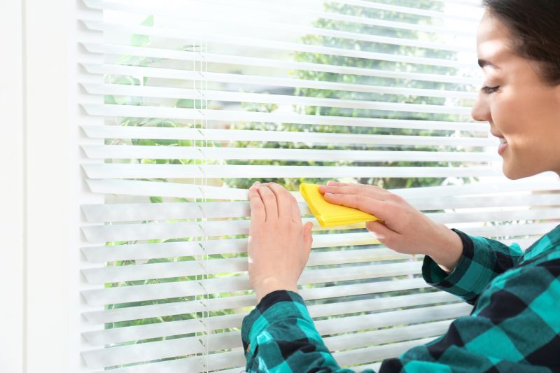 Window Blinds Cleaning in Billings, MT