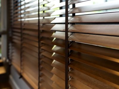 Traditional Window Blinds